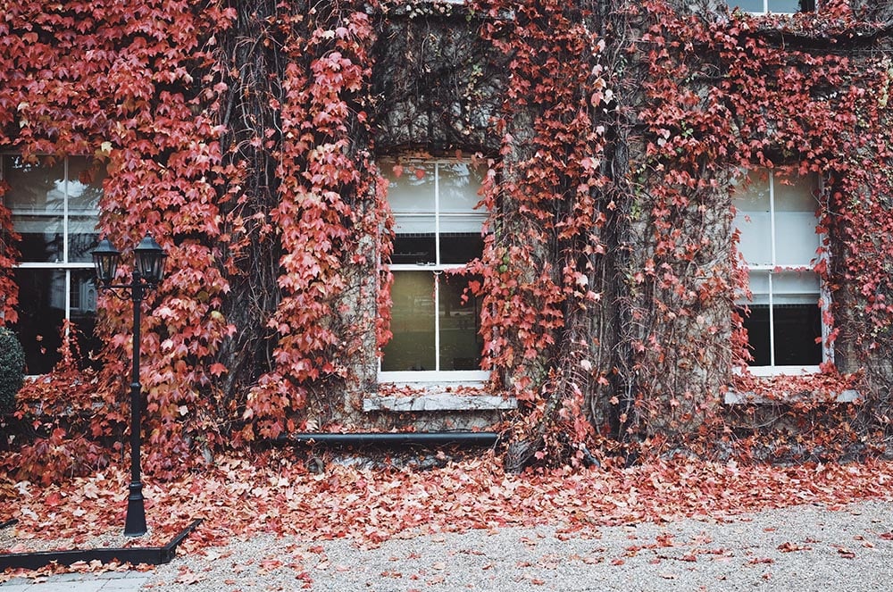 ¿Cómo preparar tu alquiler vacacional para el otoño?