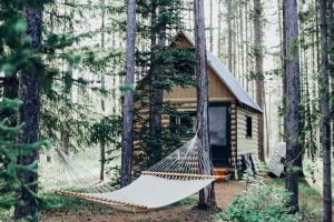 cabin rental business