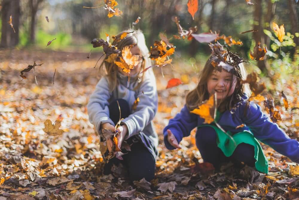 Viaje en otoño