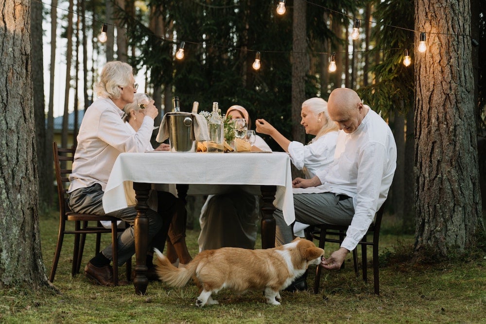 outdoor dinner party