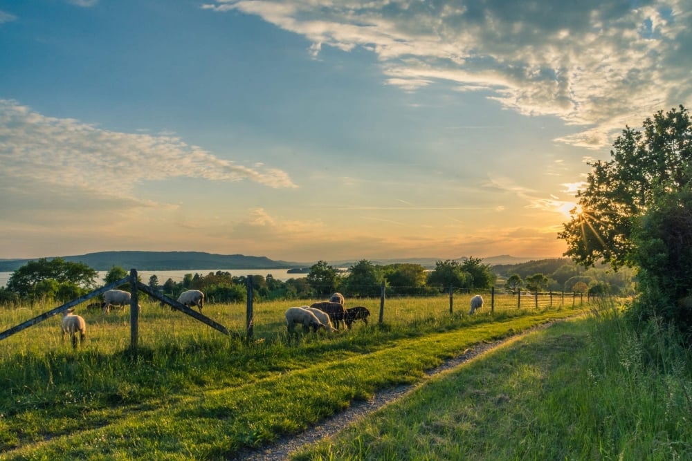 Tourisme rurale en campagne