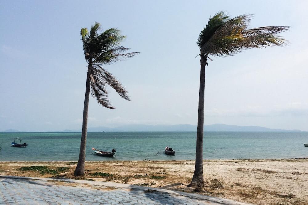 Hurricane Season as Vacation Rental Host