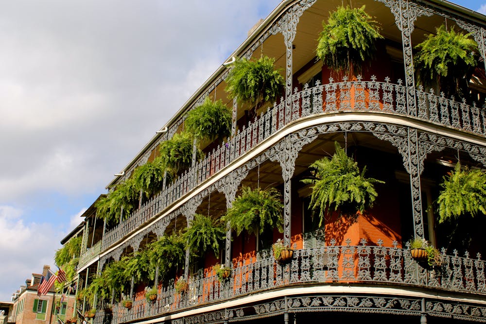 What Hosts Need to Know About New Orleans Airbnb Laws