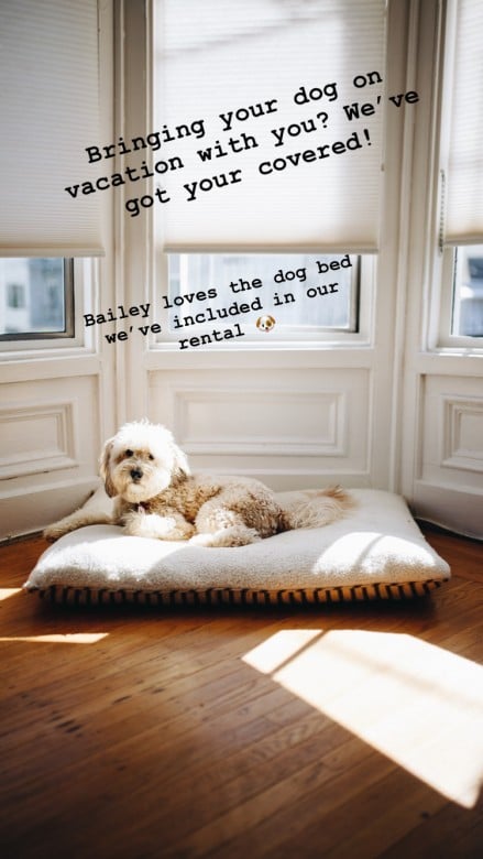 pets vacation rentals