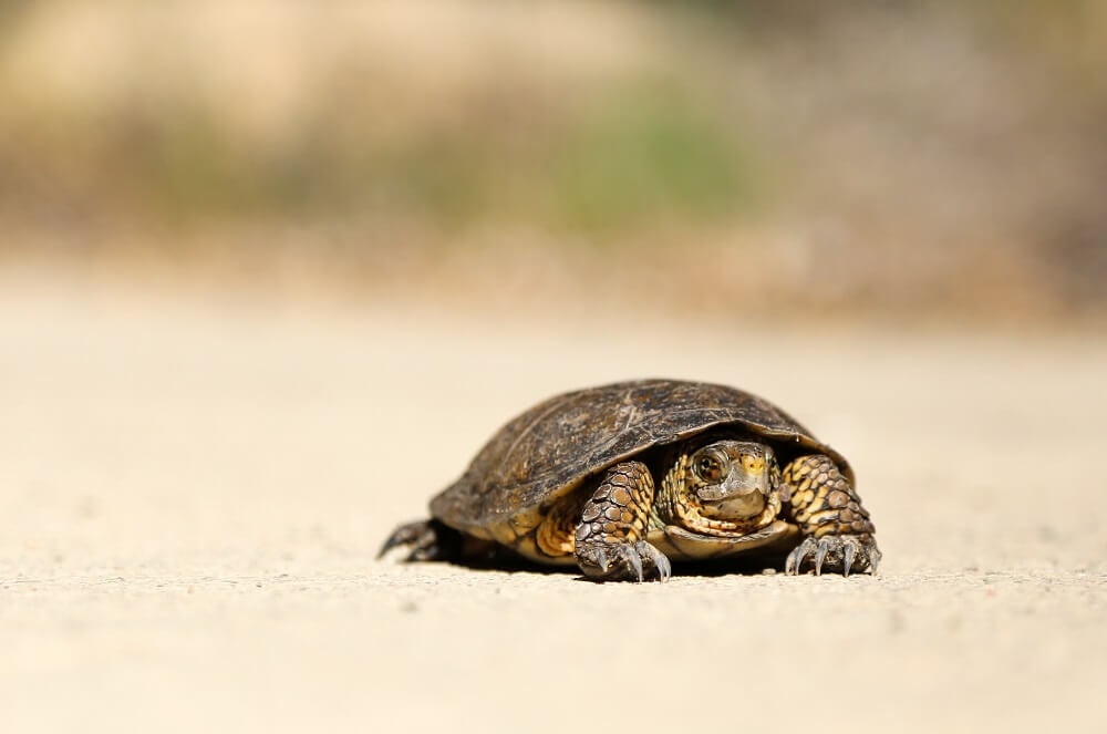 Errores más comunes en las webs de alquiler vacacional