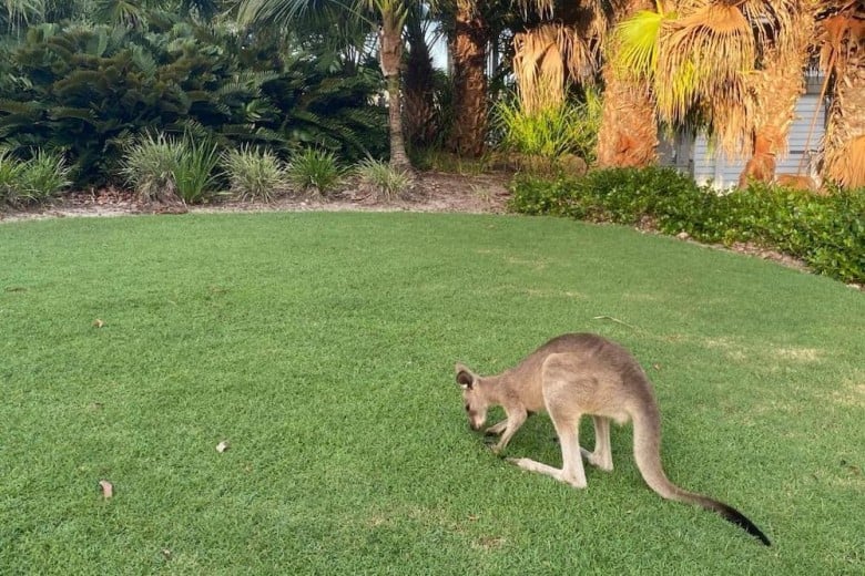 Brisbane Family Finds 'Sweet Spot of Vacation Rentals' During COVID